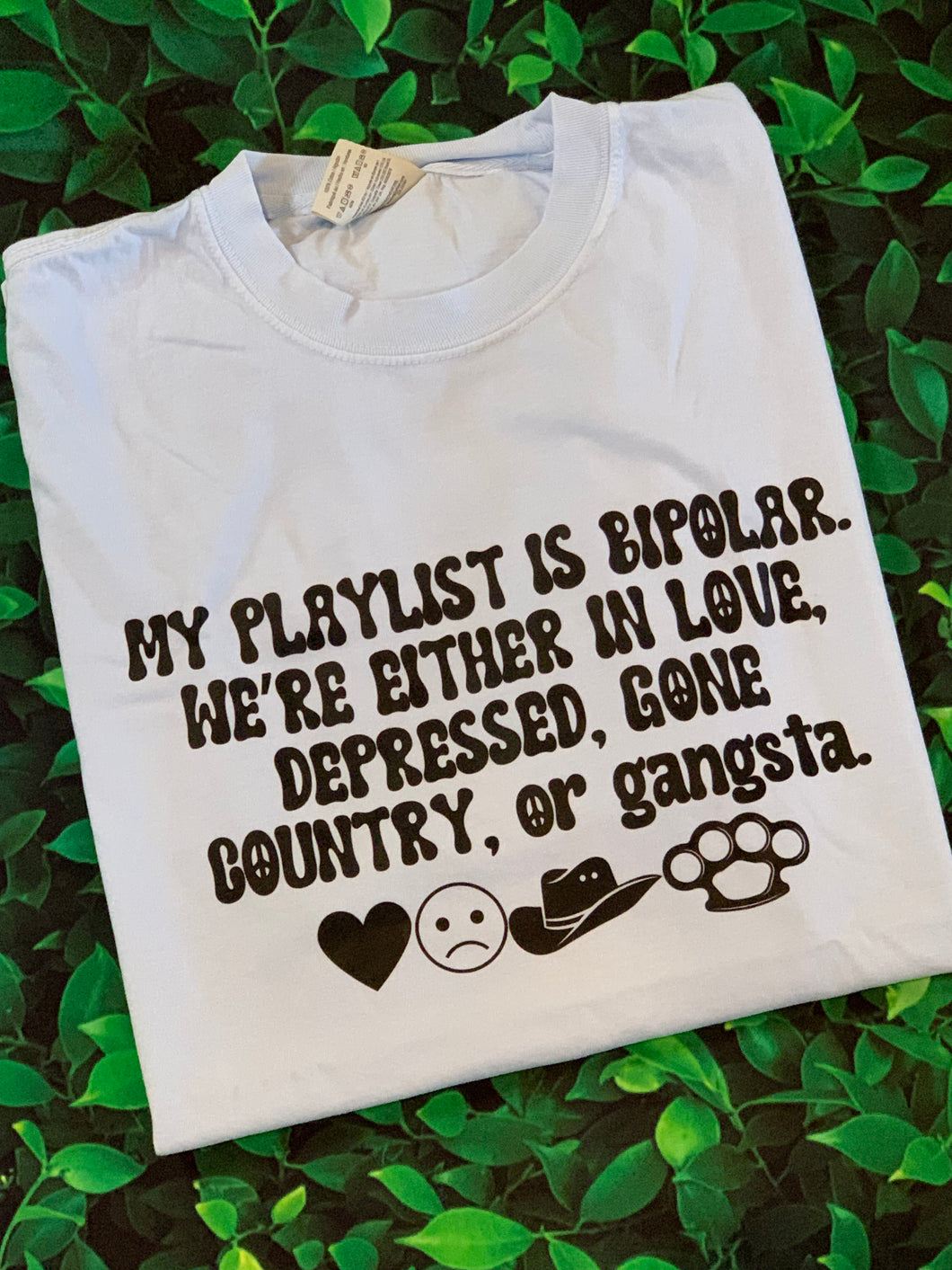 My playlist is bipolar Comfort Color DTF Printed Tee